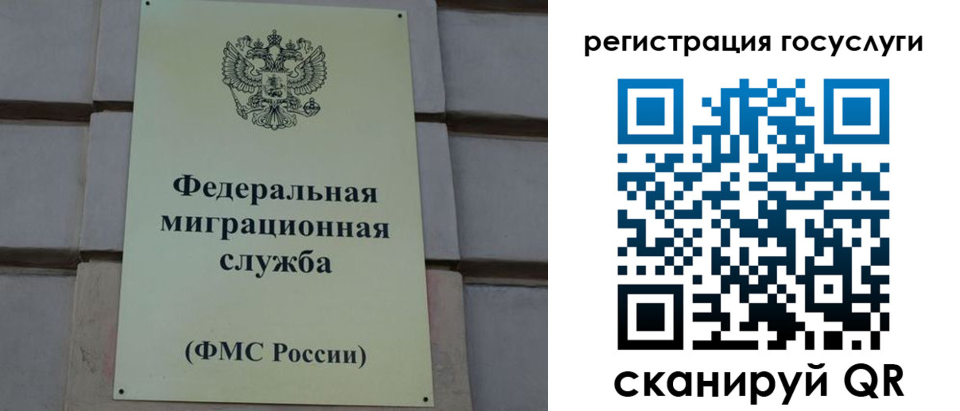 временная регистрация поиск в Волосово